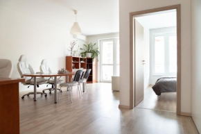 Great tourist and business Apartment near center